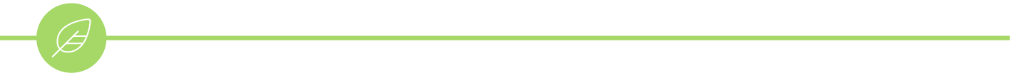 4-thema-s-versie-2_palliatieve-zorg_lijn.png